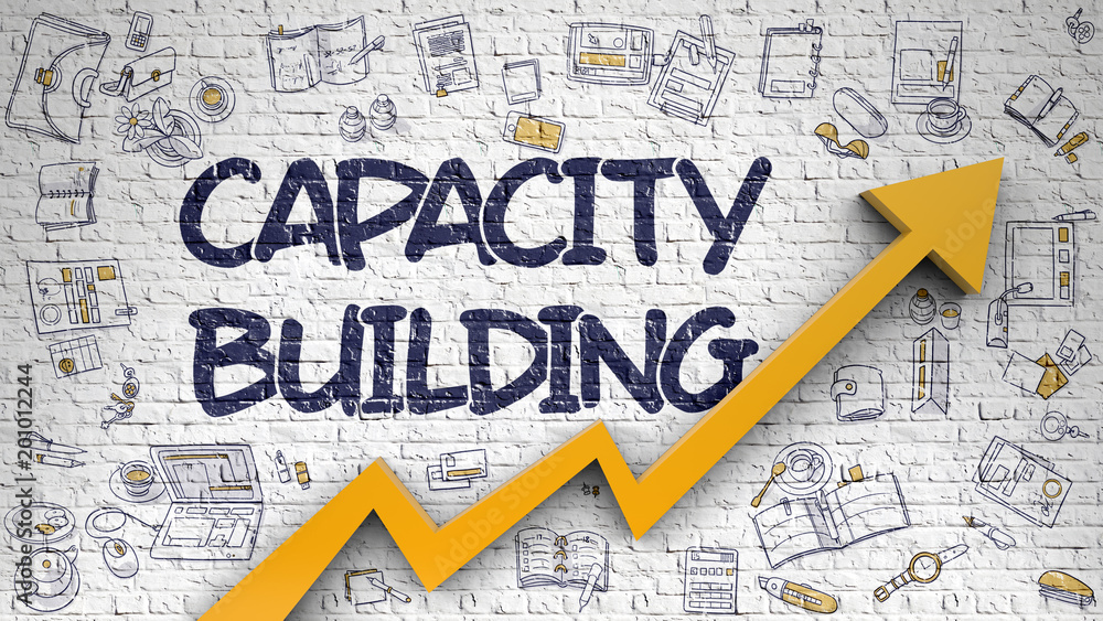 Capacity Building